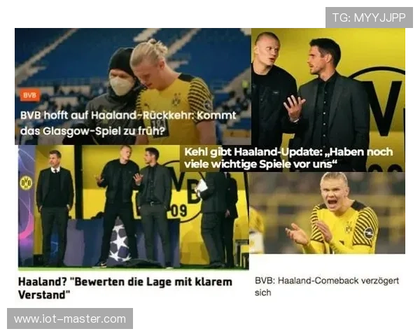 德甲转会专题：各队引援动向与阵容调整分析