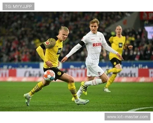 哈兰德门前终结者